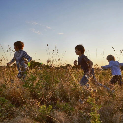 Children running through reeds in field