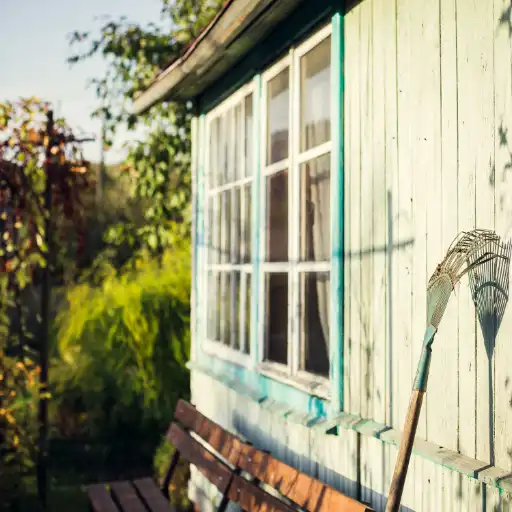Wall of an Outbuildings shed